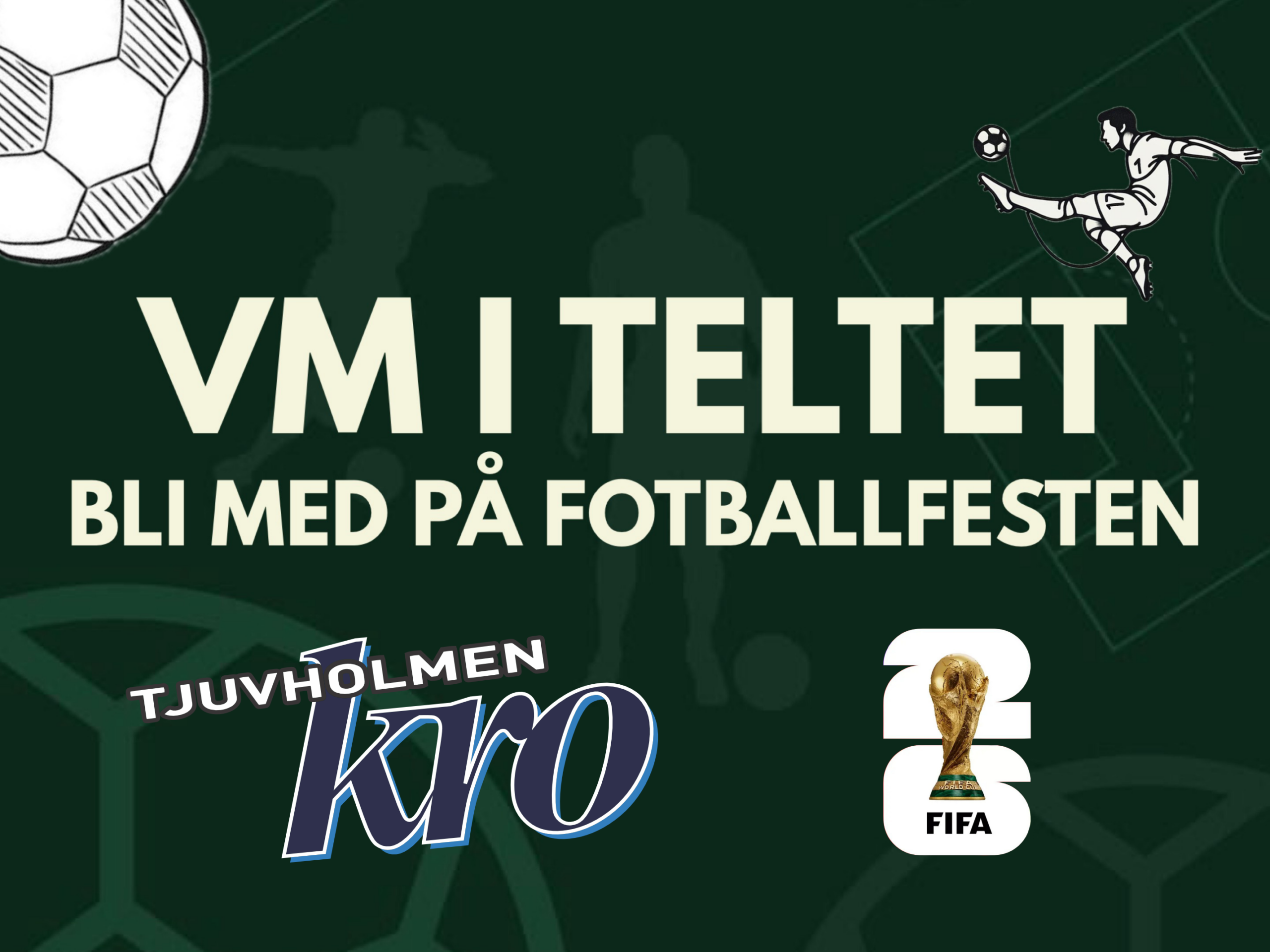 VM-skjerm banner